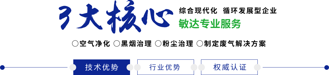 看鸡巴叼嘿视频敏达环保科技（嘉兴）有限公司